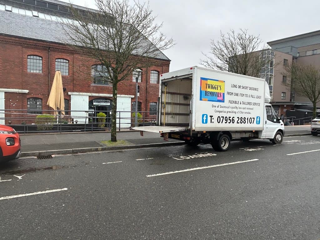 Twiggy's removals