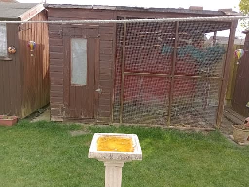 Derby Waste Removal LTD — Customer photo