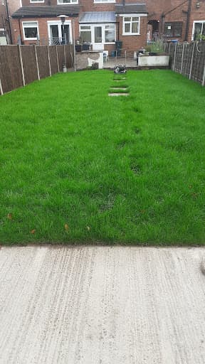 Easylawn Turf Supplies — Customer photo