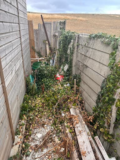 Apex Sussex Waste Clearance — Customer photo