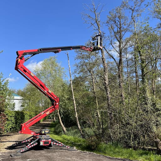 Norfolk Plant Hire — Customer photo