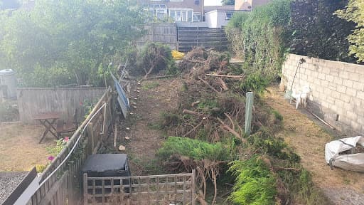 RWS Waste Disposal & Removal Plymouth — Customer photo